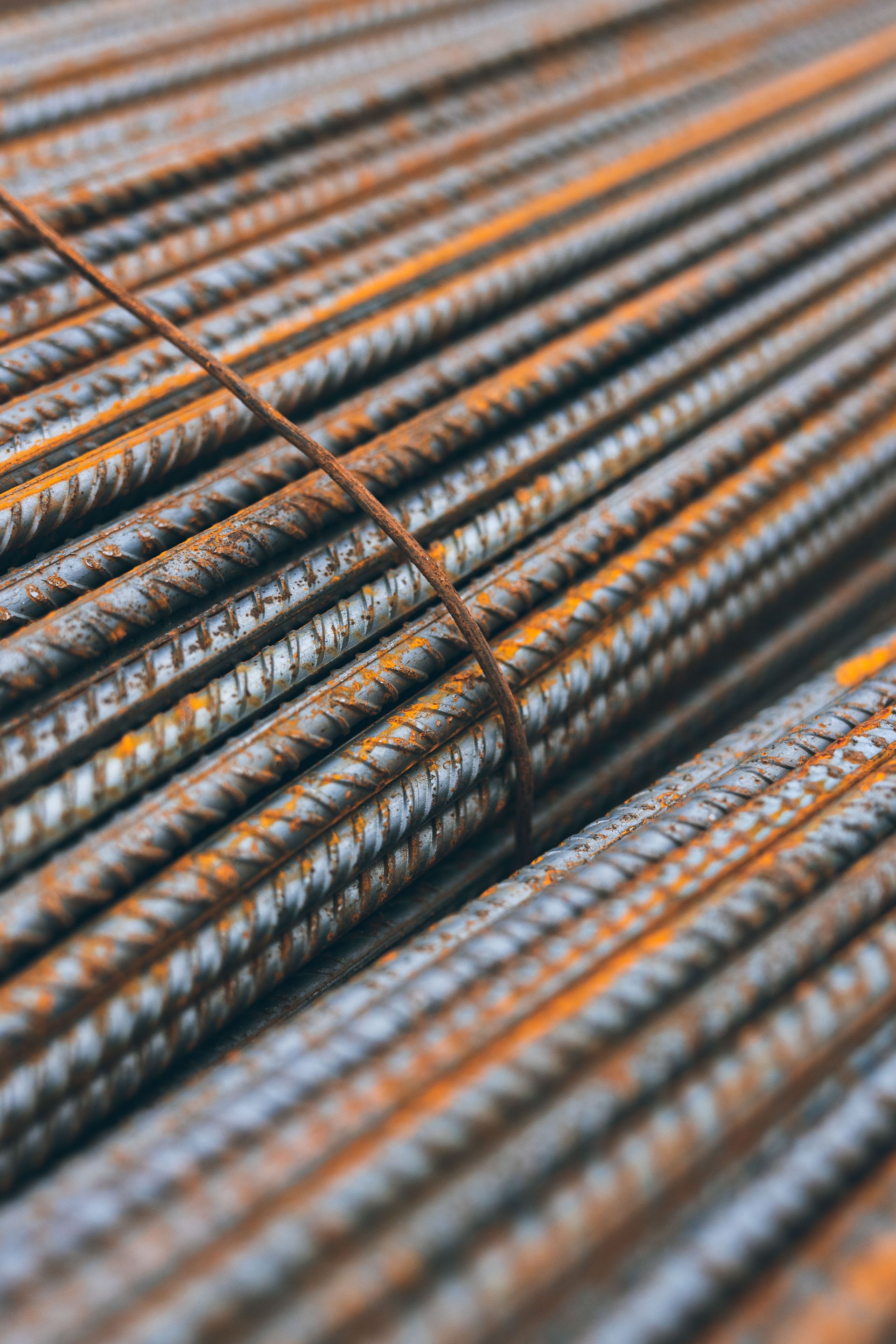 Wire rod and rebar